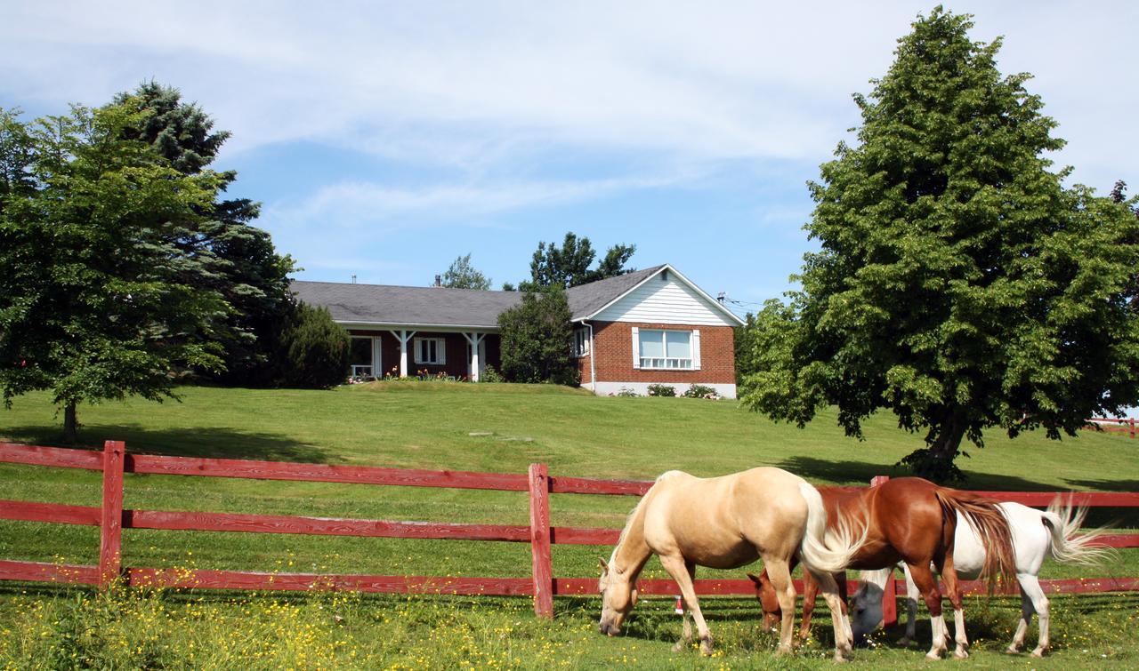 Ranch St-Hubert Bed & Breakfast Saint-Hermenegilde Bagian luar foto
